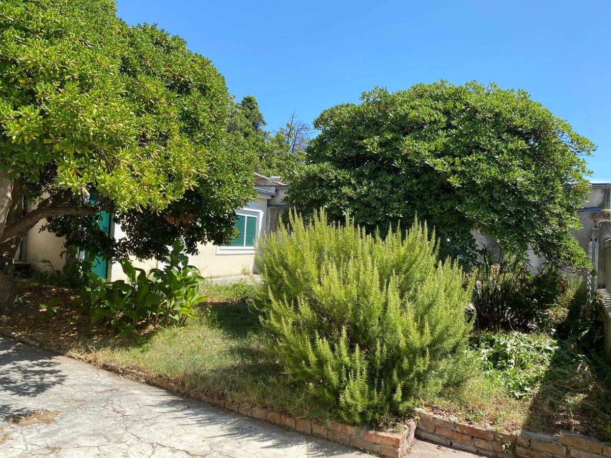 Ferienwohnung Zadar-City المظهر الخارجي الصورة