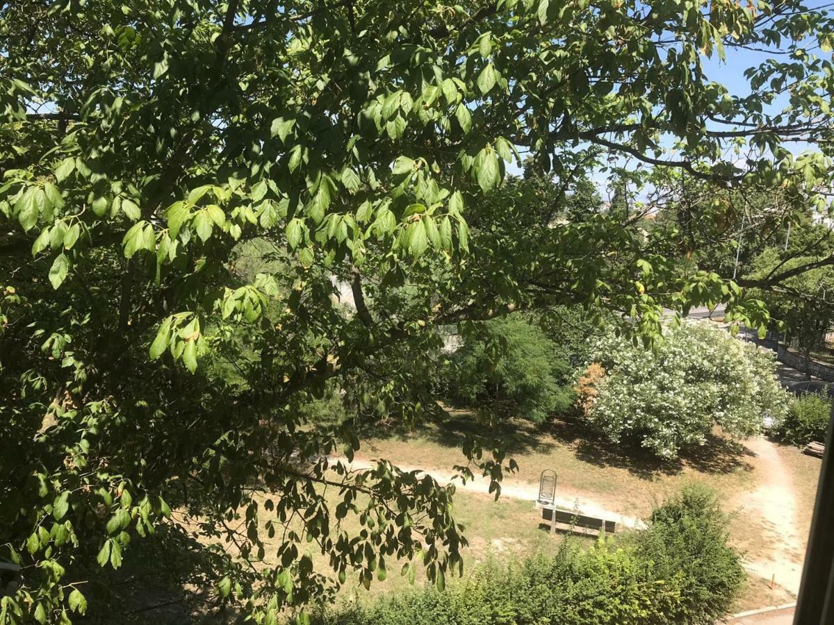 Ferienwohnung Zadar-City المظهر الخارجي الصورة